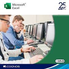Course Image OFF-705-1 Microsoft Office Excel 2016/2019: Nivel II – Funciones y manejo de datos - Nov21