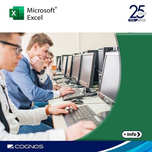 Course Image OFF-705-1 Microsoft Office Excel 2016/2019: Nivel II – Función y manejo de datos - Ene22