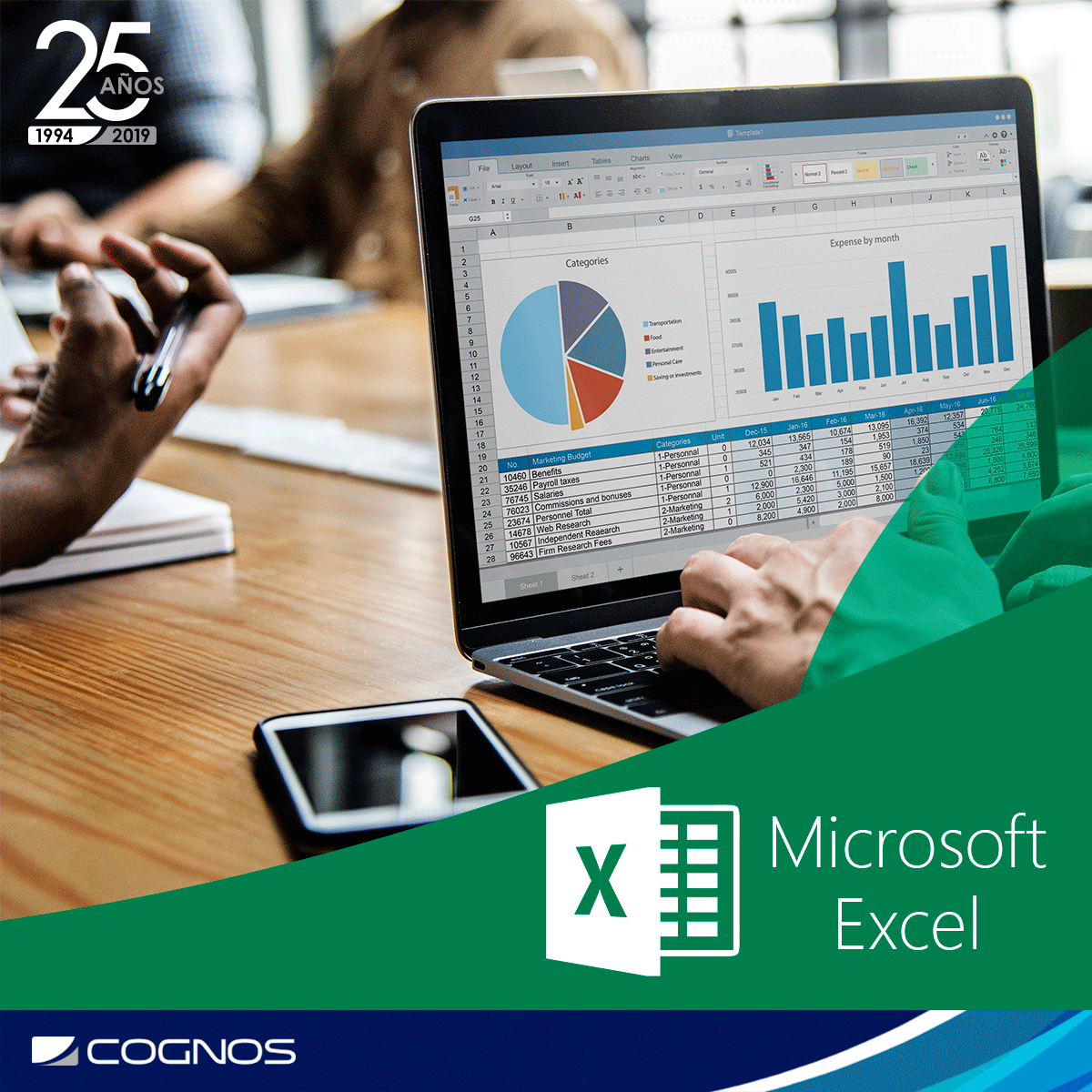 Course Image OFF-705-1 Microsoft Office Excel 2016: Nivel II – Funciones y manejo de datos-Mar21-SC